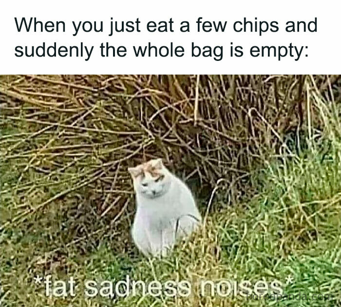 Body-Struggle-Weight-Loss-Memes