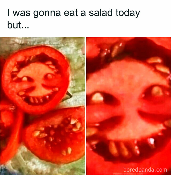 Body-Struggle-Weight-Loss-Memes