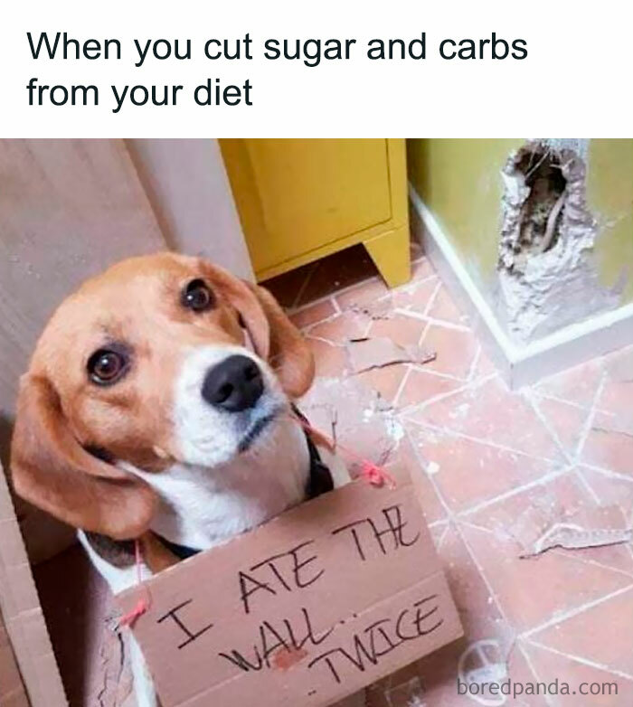 Body-Struggle-Weight-Loss-Memes