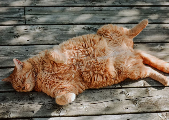 30 People Share Cases Of The "Butterfly Effect" Happening In Real Life