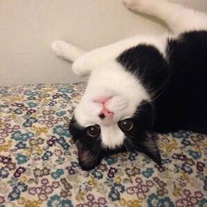 shelbyfortmann avatar