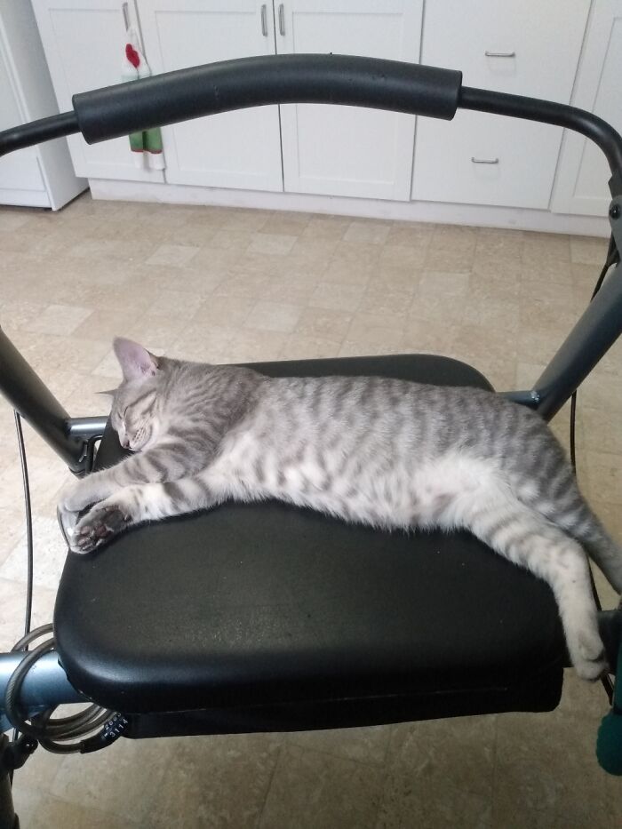 Bouche On Her Walker