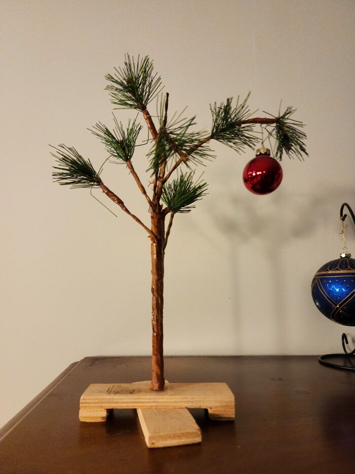 I Had This Little Guy For 15 Years