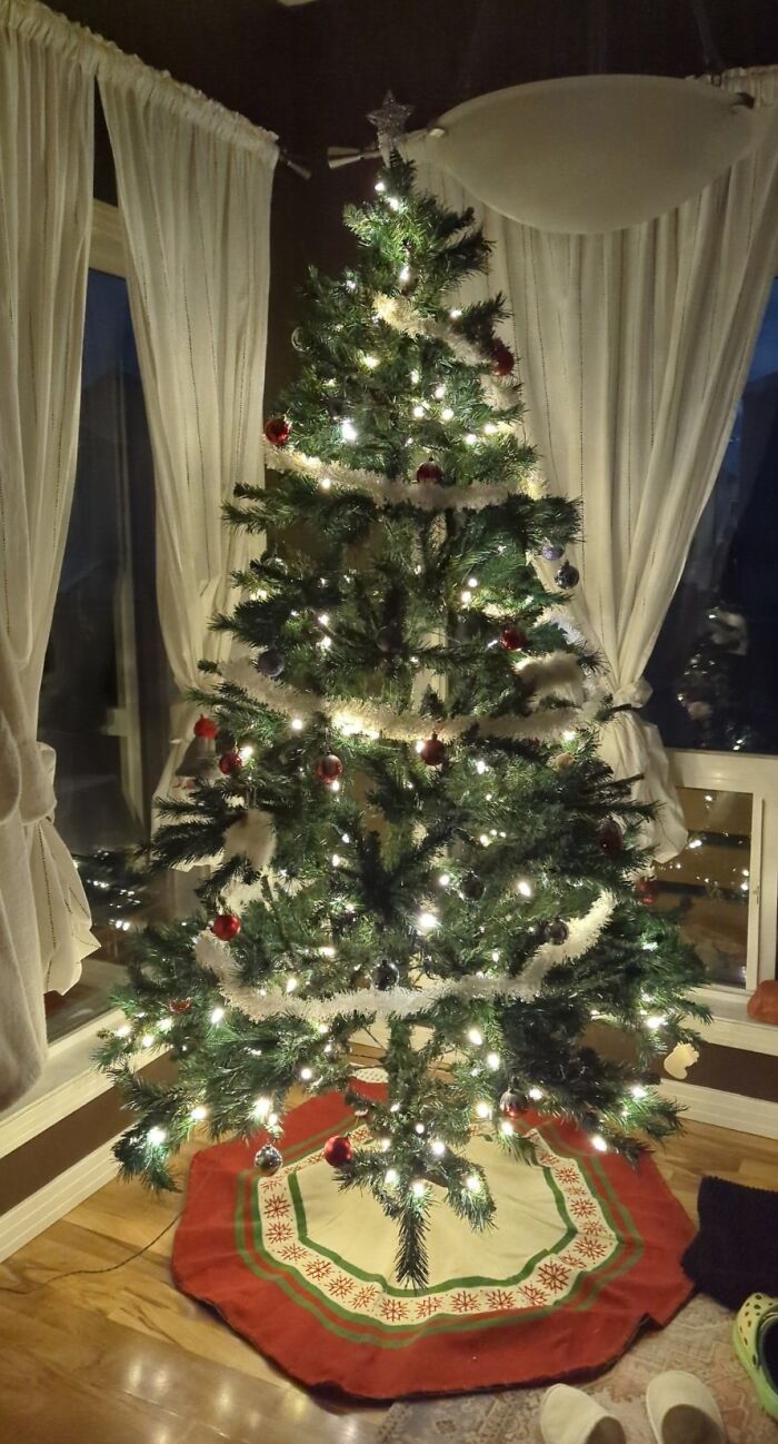 Always Leave It On For The Holidays. This Was The First Morning. Kidlette Did A Great Job! :d