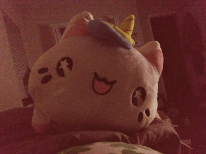 A Giant Unicorn-Kitty
