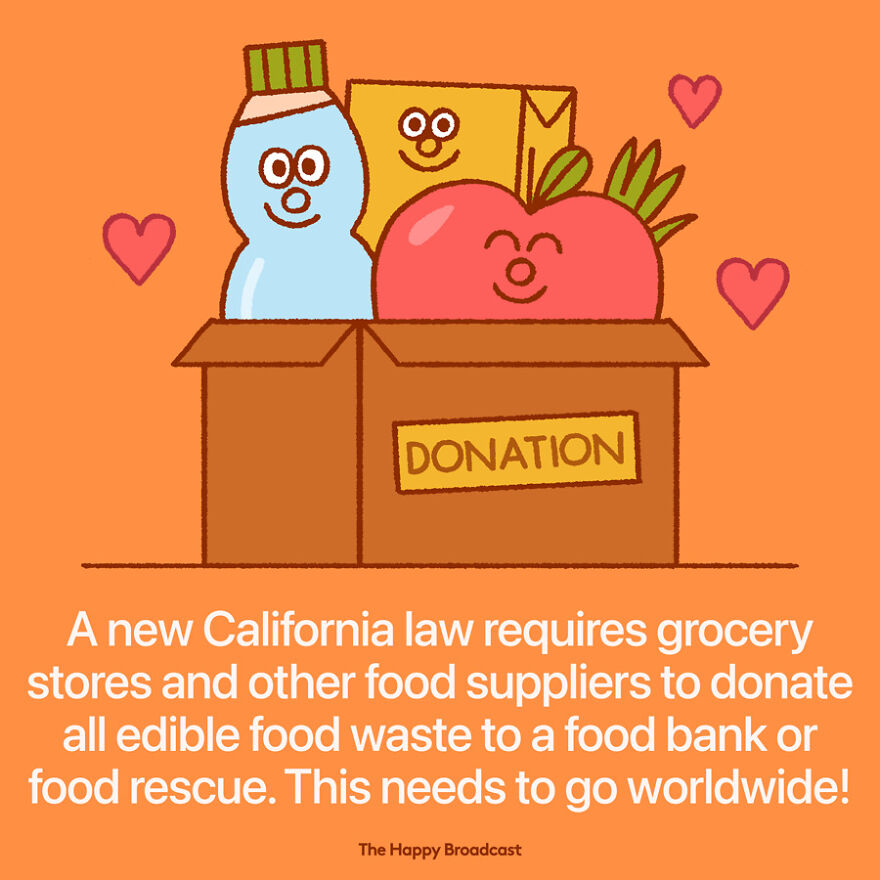 I’m Honestly Fed Up With All The Bad News, So I Illustrated 40 Of The Best Ones From 2022