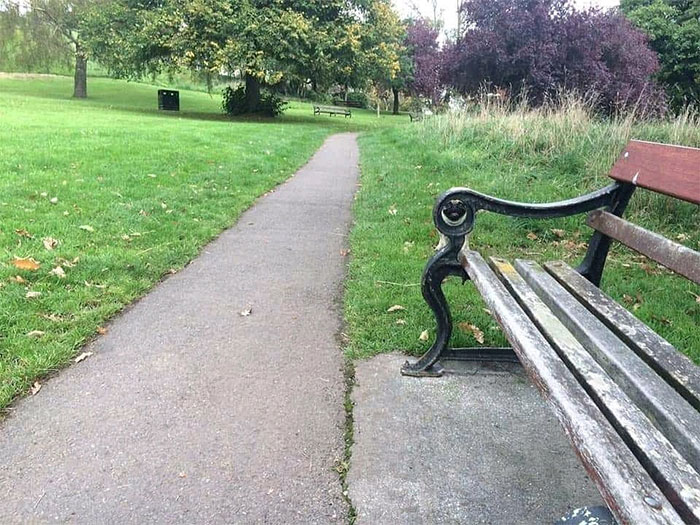 Park pathway with a bench blending seamlessly into the grass, showcasing perfect camouflage in a natural setting.