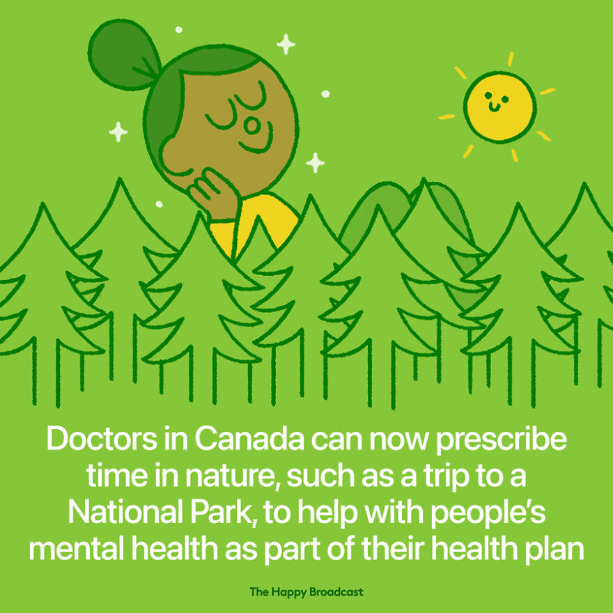 I’m Honestly Fed Up With All The Bad News, So I Illustrated 40 Of The Best Ones From 2022