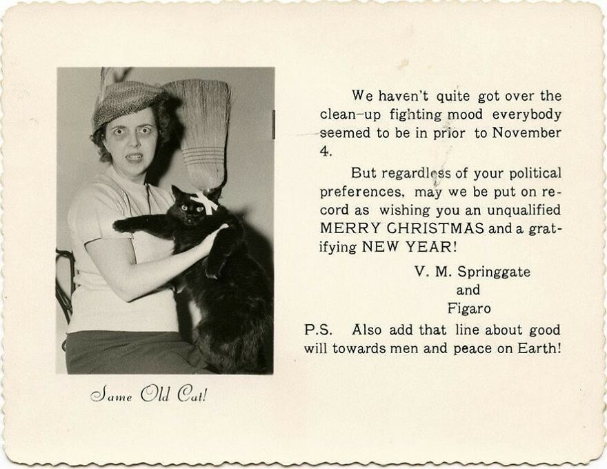 V.m. Springgate And Figaro