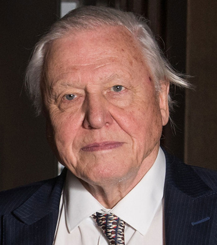 People Are Sharing Unproblematic Celebs That Seem To Be Adored By All (38 Answers)