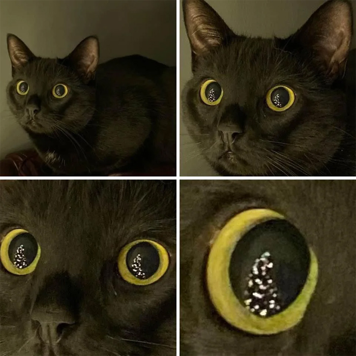 O Christmas Tree, O Christmas Tree