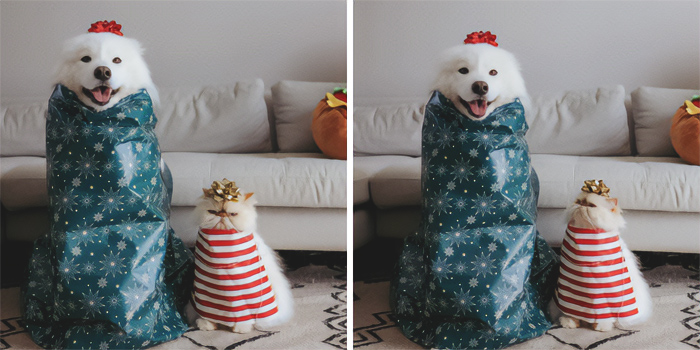 Our Christmas Presents This Year