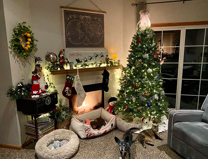 It’s Not The Fanciest Place, But I Think It’s Pretty Cozy At Christmas