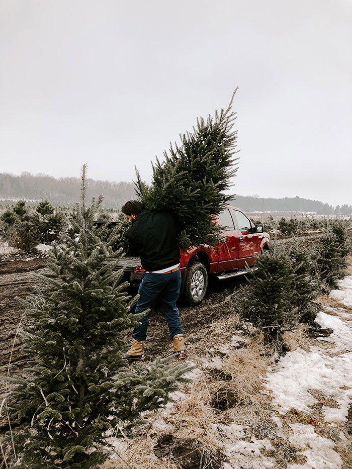 Person holding Christmas tree