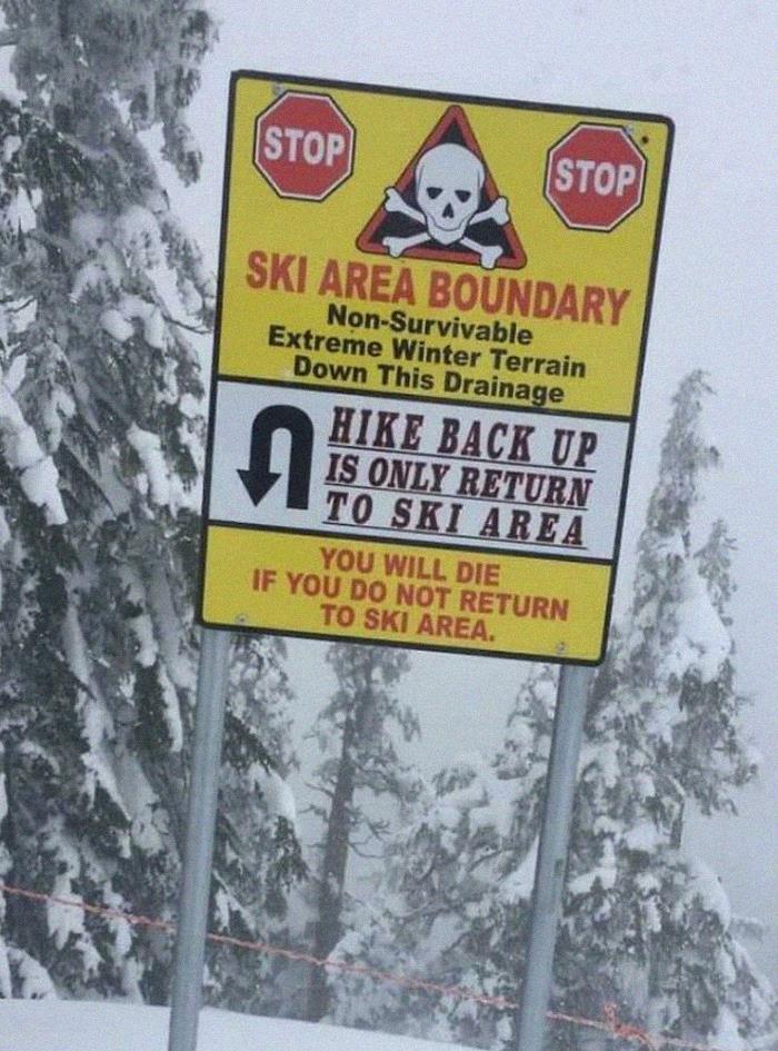 Imagine Going To Explore Your Ski Resort On Holiday And Running Into This