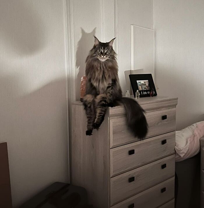 Hate Waking Up To This