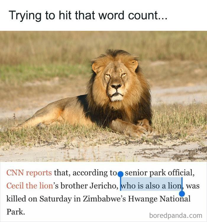 Cecil’s Brother, Jericho, Is Also A Lion, Don’t You Know That!?