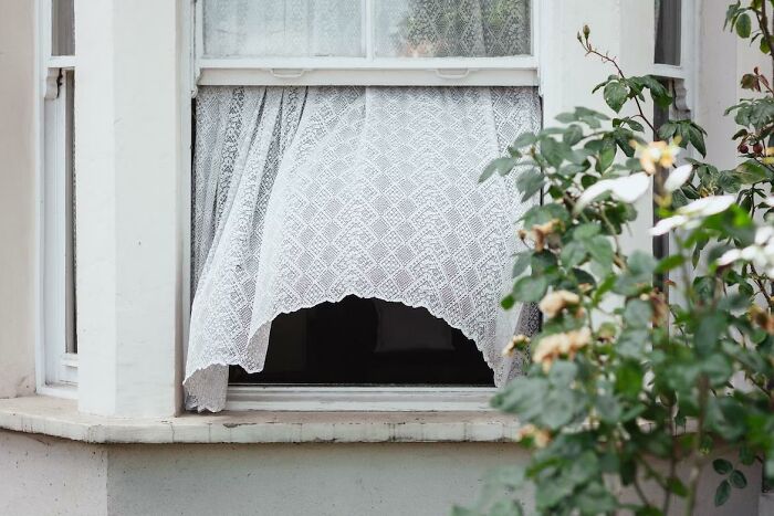 Open window with white lace curtains partially blowing outside surrounded by green plants in a home setting.