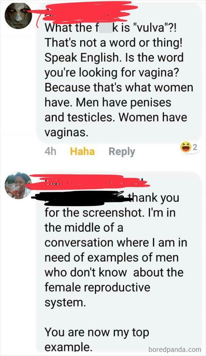 What The Hell Is A Vulva?