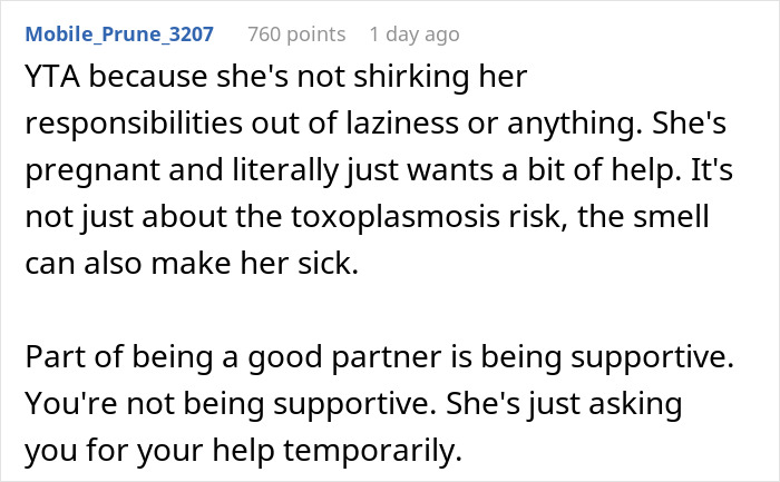 Guy Wonders If He's A Jerk For Refusing To Clean The Litter Box While His Wife Is Pregnant, The Internet Doesn't Hold Back