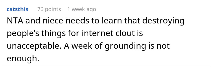 Teen Ruins Aunt's $20k Coat As A "Prank" For Views, She Decides To Sue Teen Ruins Aunt's $20k Coat As A "Prank" For Views, She Decides To Sue