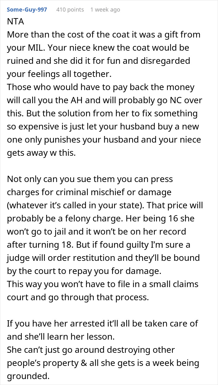 Teen Ruins Aunt's $20k Coat As A "Prank" For Views, She Decides To Sue Teen Ruins Aunt's $20k Coat As A "Prank" For Views, She Decides To Sue