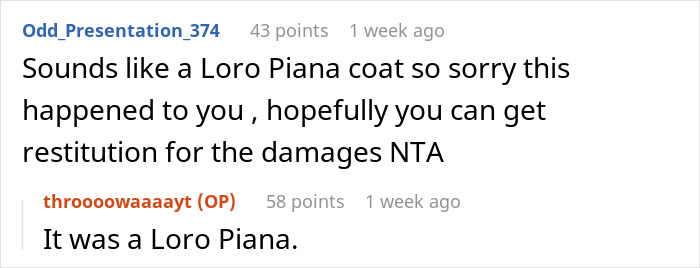 Teen Ruins Aunt's $20k Coat As A "Prank" For Views, She Decides To Sue Teen Ruins Aunt's $20k Coat As A "Prank" For Views, She Decides To Sue