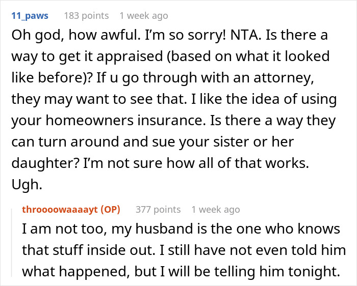 Teen Ruins Aunt's $20k Coat As A "Prank" For Views, She Decides To Sue Teen Ruins Aunt's $20k Coat As A "Prank" For Views, She Decides To Sue