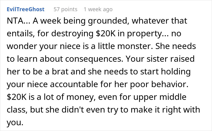 Teen Ruins Aunt's $20k Coat As A "Prank" For Views, She Decides To Sue Teen Ruins Aunt's $20k Coat As A "Prank" For Views, She Decides To Sue
