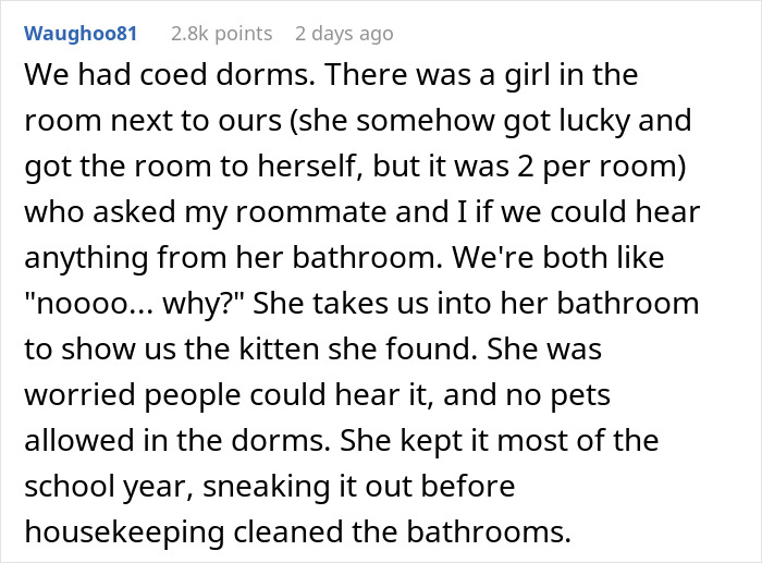 Woman Is Disgusted With Roommate's Inappropriate Joke, Decides To Teach Him A Hilarious Lesson