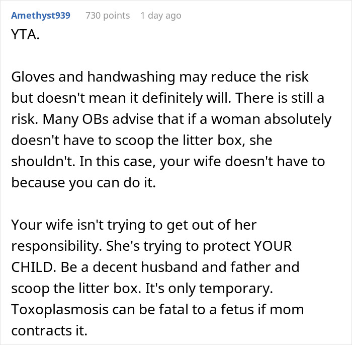 Guy Wonders If He's A Jerk For Refusing To Clean The Litter Box While His Wife Is Pregnant, The Internet Doesn't Hold Back