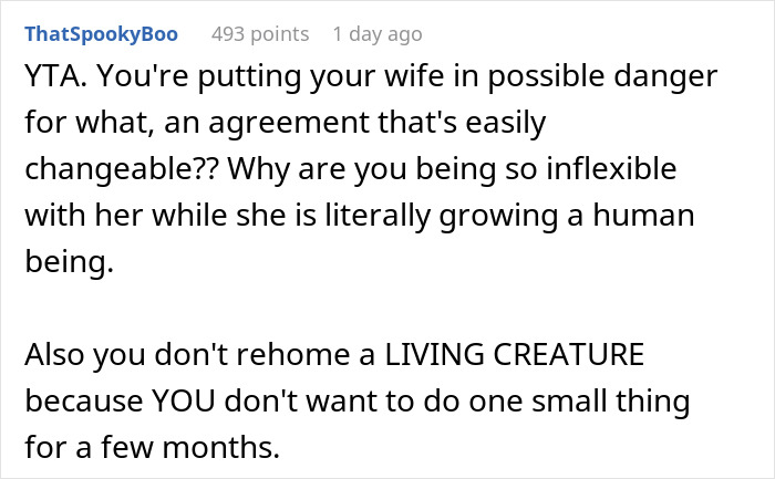 Guy Wonders If He's A Jerk For Refusing To Clean The Litter Box While His Wife Is Pregnant, The Internet Doesn't Hold Back