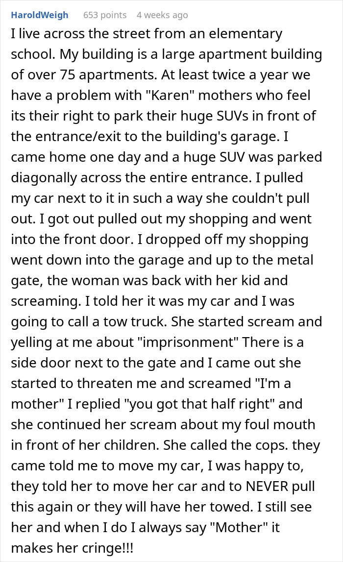 Person Has A Minivan That Was Blocking Their Driveway Towed, Decides To Play Dumb When They See How Rude The Owner Is When He Shows Up