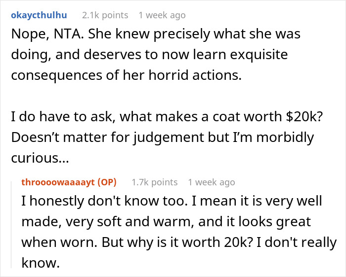 Teen Ruins Aunt's $20k Coat As A "Prank" For Views, She Decides To Sue Teen Ruins Aunt's $20k Coat As A "Prank" For Views, She Decides To Sue
