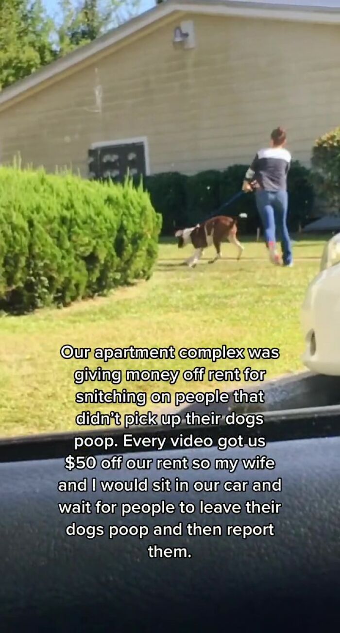 Apartment Complex Offers $50 Off Rent In Exchange For Videos Of Residents Not Cleaning Up After Their Dogs So This Couple Takes Advantage Of It Apartment Complex Offers $50 Off Rent In Exchange For Videos Of Residents Not Cleaning Up After Their Dogs So This Couple Takes Advantage Of It
