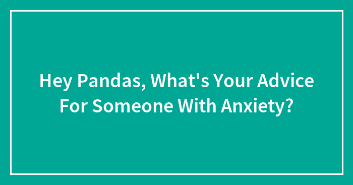 Hey Pandas, What’s Your Advice For Someone With Anxiety? (Closed)