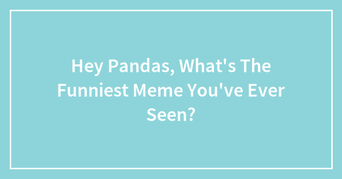 Hey Pandas, What’s The Funniest Meme You’ve Ever Seen?