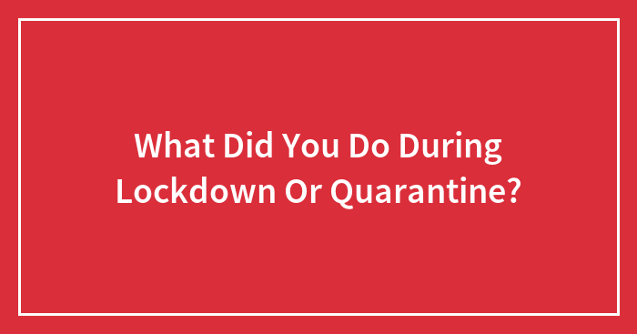 What Did You Do During Lockdown Or Quarantine?