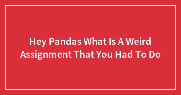 Hey Pandas What Is A Weird Assignment That You Had To Do
