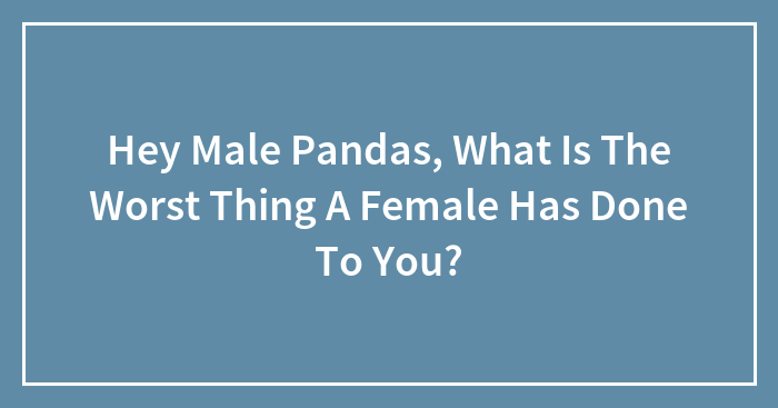 Hey Male Pandas, What Is The Worst Thing A Female Has Done To You?