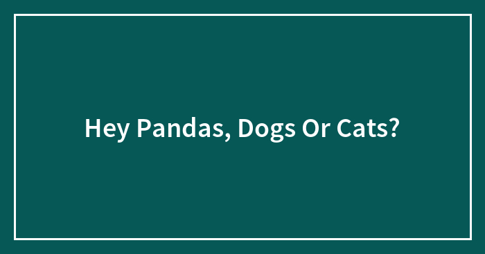 Hey Pandas, Dogs Or Cats?