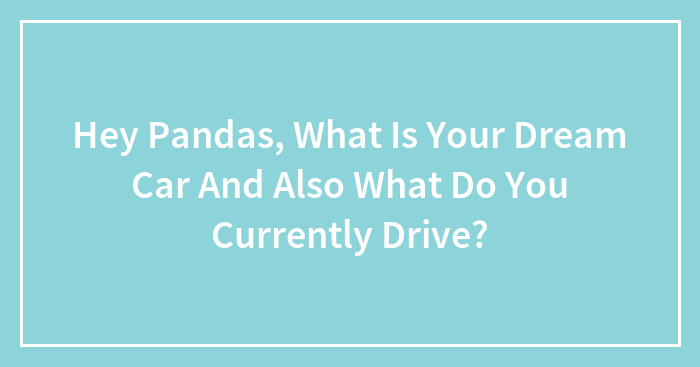 Hey Pandas, What Is Your Dream Car And Also What Do You Currently Drive?