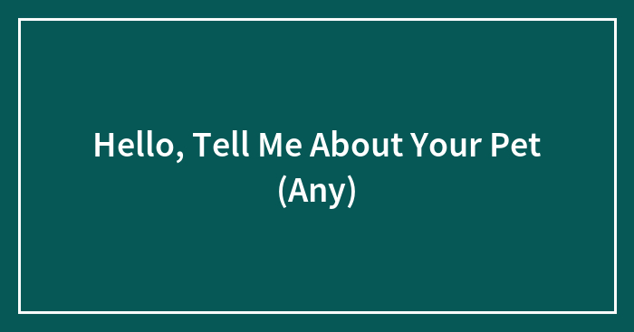 Hello, Tell Me About Your Pet (Any)