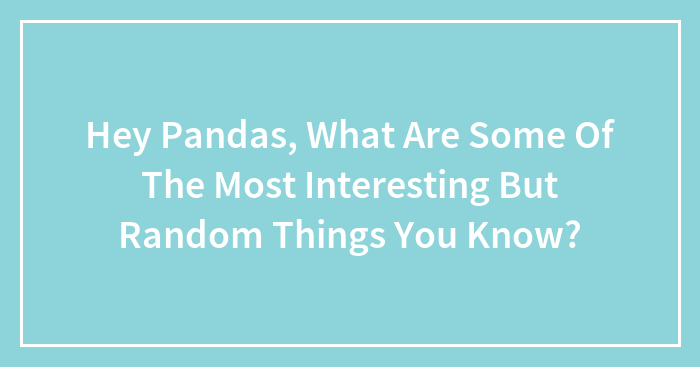 Hey Pandas, What Are Some Of The Most Interesting But Random Things You Know? (Closed)