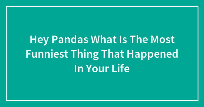 Hey Pandas What Is The Most Funniest Thing That Happened In Your Life