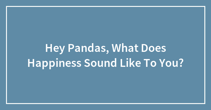 Hey Pandas, What Does Happiness Sound Like To You?