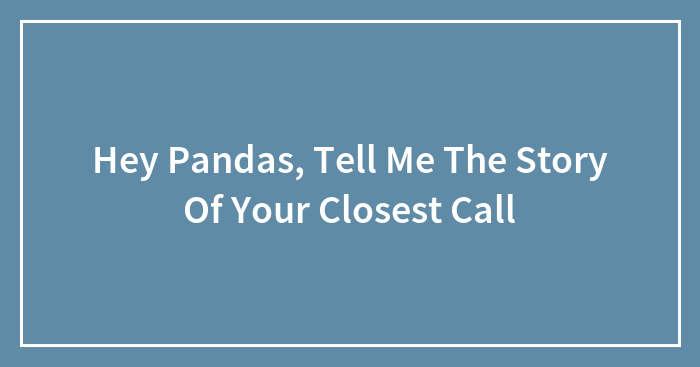 Hey Pandas, Tell Me The Story Of Your Closest Call (Closed)