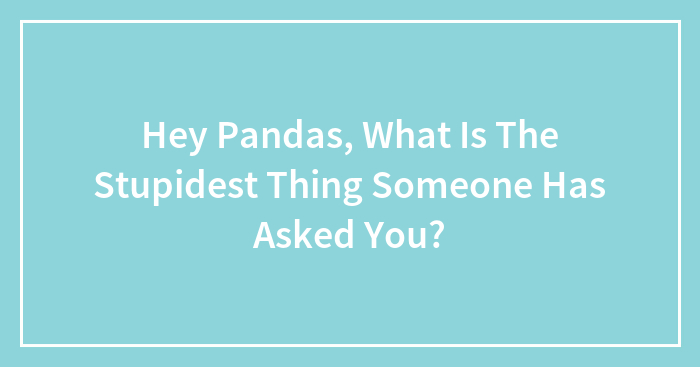 Hey Pandas, What Is The Stupidest Thing Someone Has Asked You? (Closed)