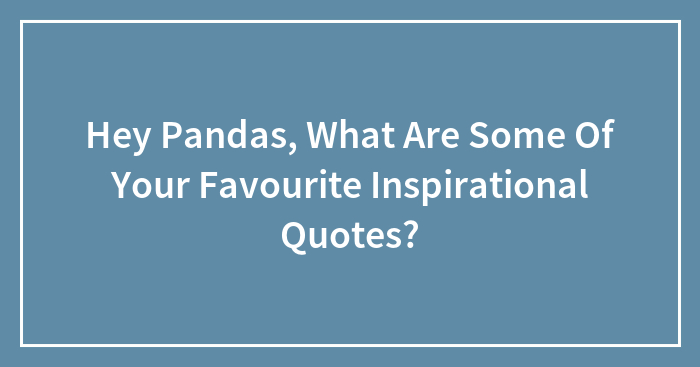 Hey Pandas, What Are Some Of Your Favourite Inspirational Quotes?