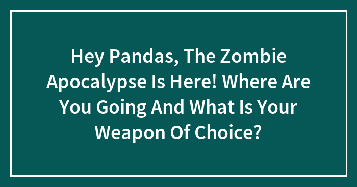 Hey Pandas, The Zombie Apocalypse Is Here! Where Are You Going And What Is Your Weapon Of Choice?